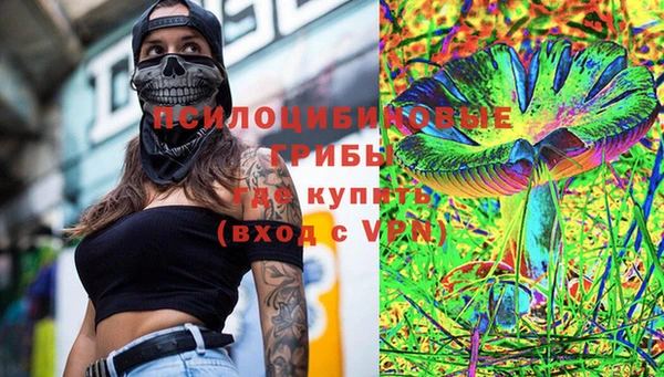 a pvp Богородск