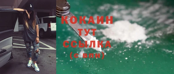 эйфоретик Богданович