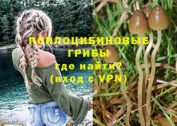 a pvp Богородск