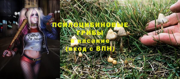 эйфоретик Богданович