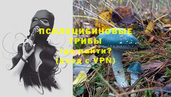 эйфоретик Богданович