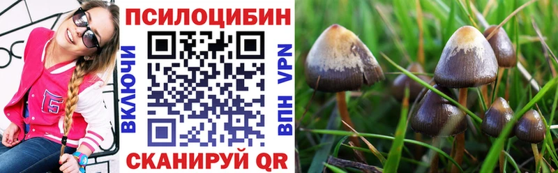сколько стоит  Химки  Галлюциногенные грибы Psilocybine cubensis 